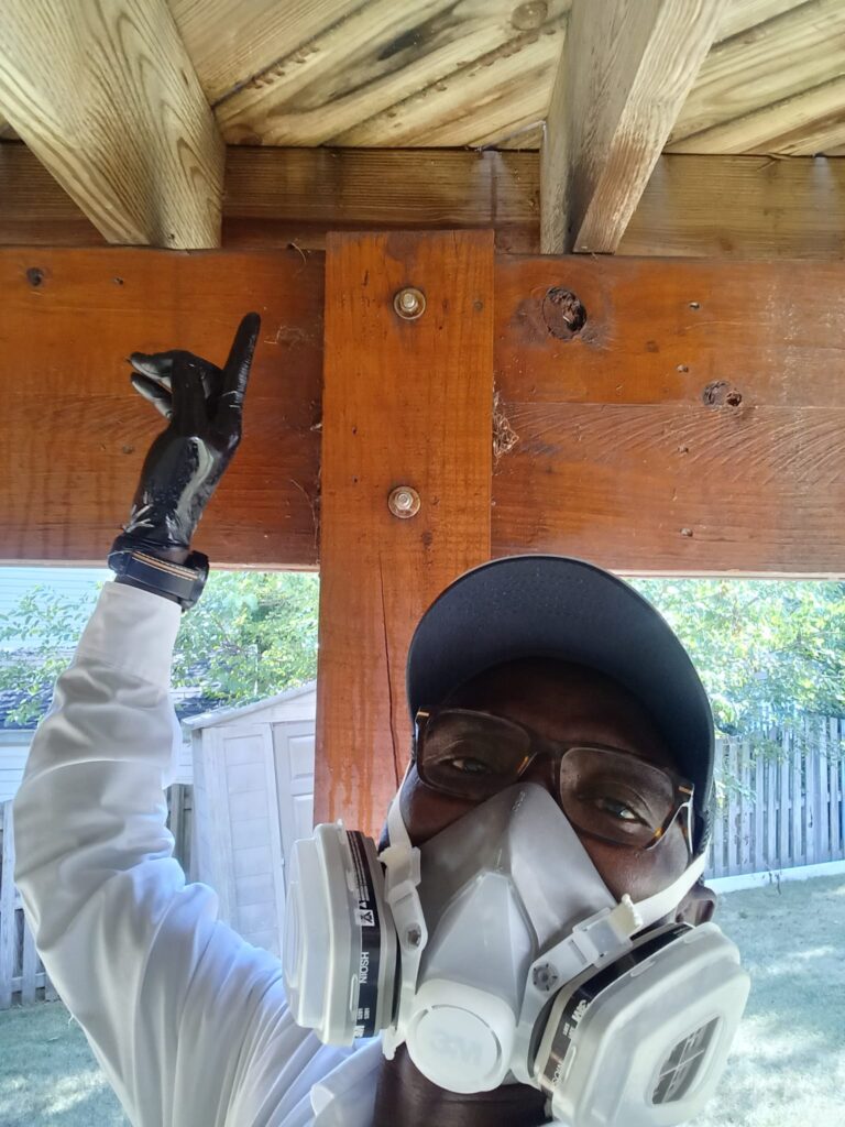 Carpenter bee treatment