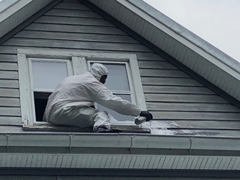 Bee nest treatment inside the dry wall