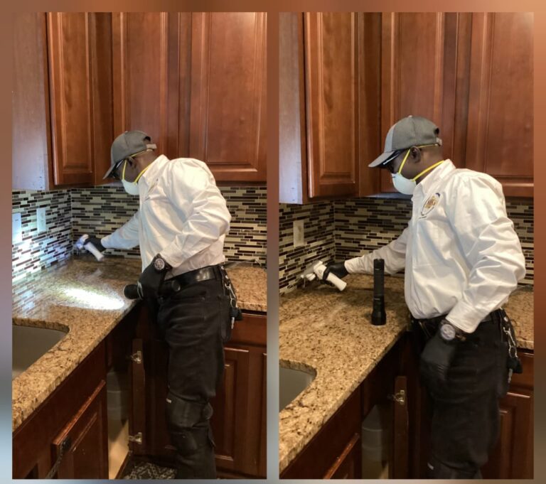 Roaches Treatment and Exclusion Service
