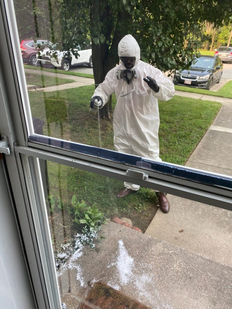 Safe and effective pest treatment application around a garden.